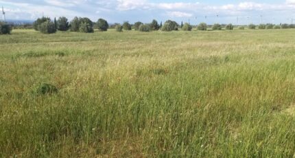 Cruscades Maison neuve - 2290223-11177annonce220251001xwDpw.jpeg Oc Résidences