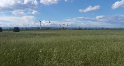 Cruscades Maison neuve - 2290242-11177annonce120251001ELSu0.jpeg Oc Résidences