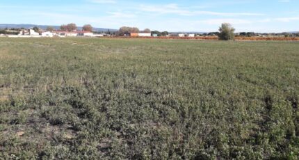 Rieux-Minervois Maison neuve - 2290123-11177annonce220251001XTdTv.jpeg Oc Résidences