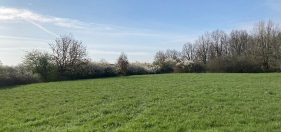 Terrain à bâtir à , Haute-Garonne