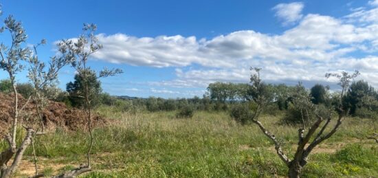 Terrain à bâtir à Ginestas, Occitanie