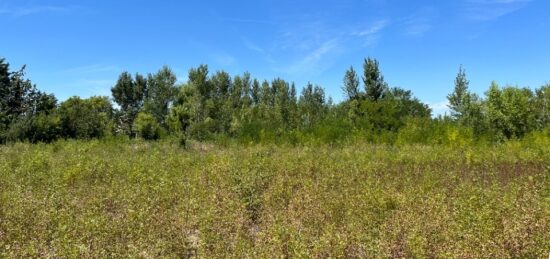Terrain à bâtir à Castelnaudary, Occitanie