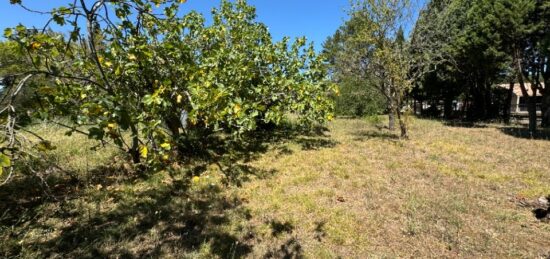 Terrain à bâtir à Villepinte, Occitanie