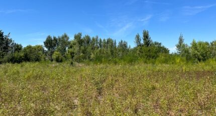 Castelnaudary Maison neuve - 2254591-3185annonce120250829Q4Q7F.jpeg Oc Résidences