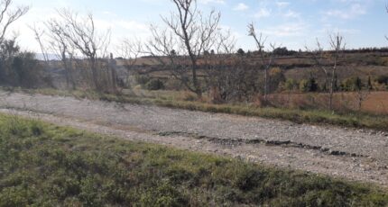 Rieux-Minervois Terrain à bâtir - 2316348-11177annonce220251024tInNO.jpeg Oc Résidences