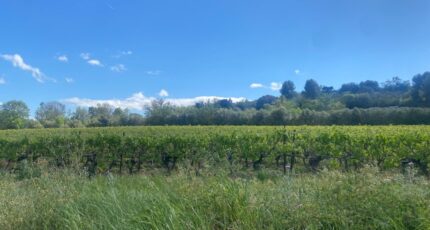 Ginestas Terrain à bâtir - 2297434-11177annonce220251007PqgHR.jpeg Oc Résidences