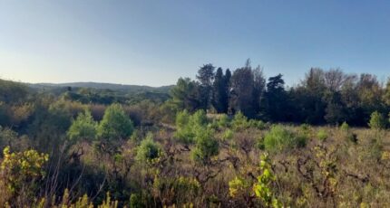 Argens-Minervois Terrain à bâtir - 2304957-11177annonce120251014USnTd.jpeg Oc Résidences