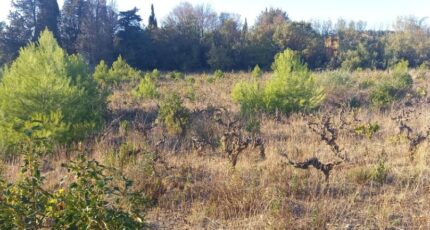 Argens-Minervois Terrain à bâtir - 2304957-11177annonce2202510143x6hc.jpeg Oc Résidences