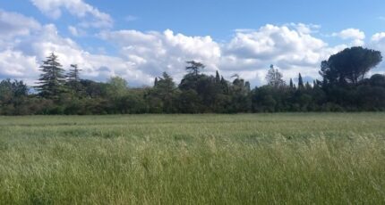 Cruscades Terrain à bâtir - 2305051-11177annonce120251014JeBJa.jpeg Oc Résidences