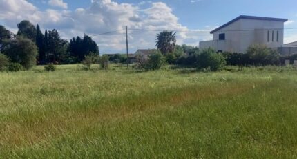 Cruscades Maison neuve - 2305052-11177annonce220251014DD62y.jpeg Oc Résidences