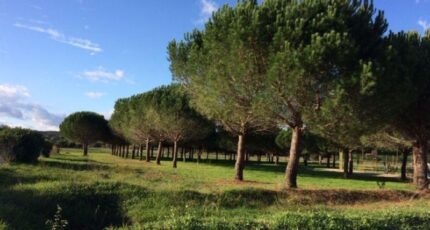 Lézignan-la-Cèbe Maison neuve - 2362949-11177annonce220251210xH4Wt.jpeg Oc Résidences