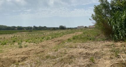 Servian Maison neuve - 2361608-11177annonce2202512084wQ43.jpeg Oc Résidences