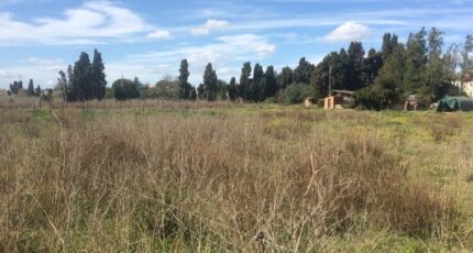 Ornaisons Maison neuve - 2375884-11177annonce1202512244r9Nz.jpeg Oc Résidences