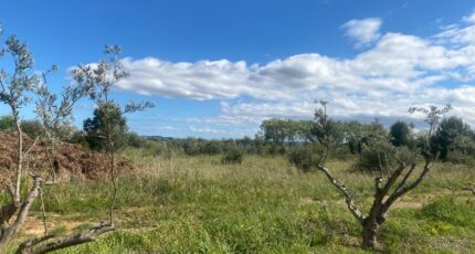 Ginestas Terrain à bâtir - 2319672-11177annonce120251028JhgMO.jpeg Oc Résidences