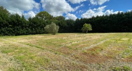 Saint-Papoul Maison neuve - 2366986-3185annonce120251212LIG17.jpeg Oc Résidences