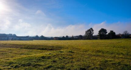 Saint-Nauphary Maison neuve - 2398280-3177annonce120260119Dhzdy.jpeg Oc Résidences