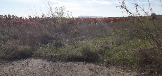 Terrain à bâtir à Rieux-Minervois, Occitanie