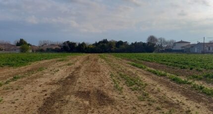 Canet Maison neuve - 2375688-11177annonce120251224Bcohy.jpeg Oc Résidences