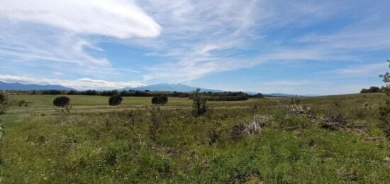 Terrain à bâtir à Saint-Jean-Lasseille, Occitanie