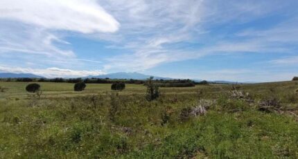 Saint-Jean-Lasseille Maison neuve - 2409177-11379annonce120260127ALqfb.jpeg Oc Résidences