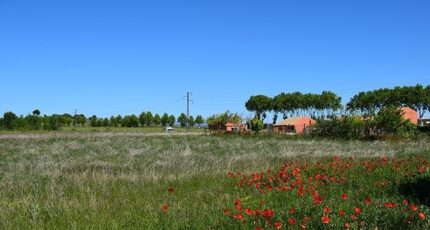 Maraussan Maison neuve - 2410892-11177annonce2202601281UJix.jpeg Oc Résidences