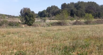 Quarante Maison neuve - 2410957-11177annonce220260128WoOw4.jpeg Oc Résidences