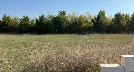 Puygouzon Terrain à bâtir - 2376333-3177annonce120250812pVo0F.jpeg Oc Résidences