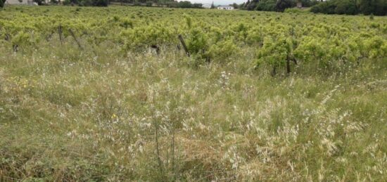 Terrain à bâtir à Bizanet, Occitanie