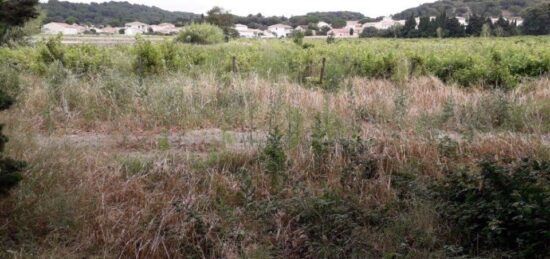 Terrain à bâtir à , Aude