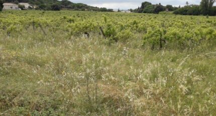 Bizanet Maison neuve - 2327668-11177annonce120251104qqgcd.jpeg Oc Résidences