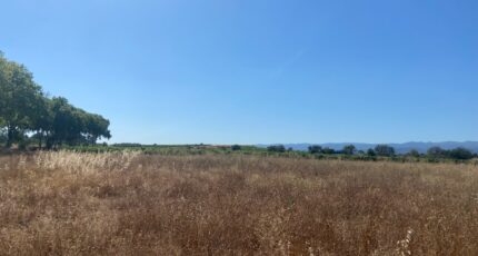 Olonzac Maison neuve - 2362222-11177annonce120251209CTTeZ.jpeg Oc Résidences