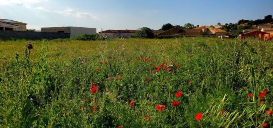 Terrain à bâtir à Lespignan, Occitanie
