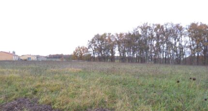 Montdurausse Maison neuve - 2398244-3177annonce120250113f76tS.jpeg Oc Résidences