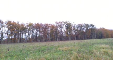 Montdurausse Maison neuve - 2398254-3177annonce120250113wcr2E.jpeg Oc Résidences