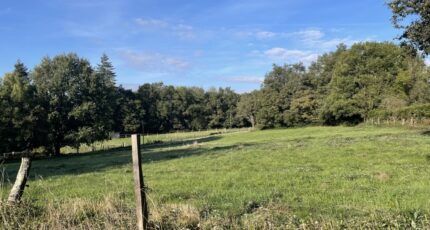 Pont-de-Larn Maison neuve - 2399954-4583annonce120251001G05GF.jpeg Oc Résidences