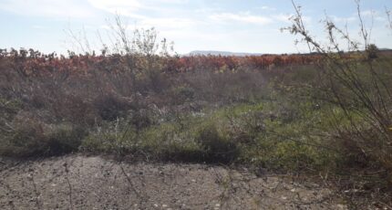 Rieux-Minervois Maison neuve - 2375680-11177annonce120251224xPeuO.jpeg Oc Résidences