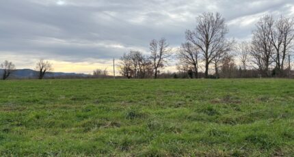 Verdalle Maison neuve - 2407233-5649annonce12026012653l7T.jpeg Oc Résidences