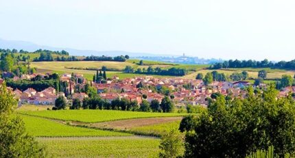 Saint-Jean-Lasseille Terrain à bâtir - 2409173-11379annonce3202601271QwE9.jpeg Oc Résidences