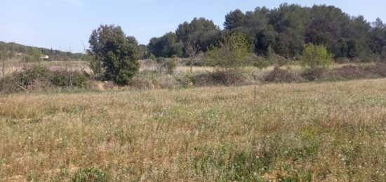 Terrain à bâtir à Quarante, Occitanie