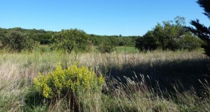 Puilacher Maison neuve - 2419756-11177annonce120260205wFXfO.jpeg Oc Résidences