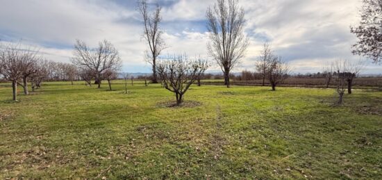 Terrain à bâtir à , Tarn