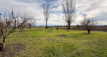 Blan Maison neuve - 2433604-3185annonce120260218bPJvF.jpeg Oc Résidences