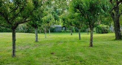 Saint-Lys Maison neuve - 2435135-9431annonce320260219ZDJLZ.jpeg Oc Résidences