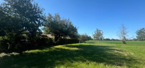 Terrain à bâtir à Garrevaques, Occitanie