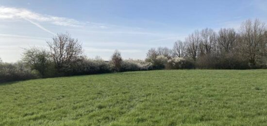 Terrain à bâtir à Buzet-sur-Tarn, Occitanie