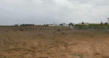 Montady Terrain à bâtir - 2438561-11177annonce1202602235onbH.jpeg Oc Résidences