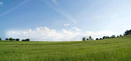 Terrain à bâtir à Pomérols, Occitanie