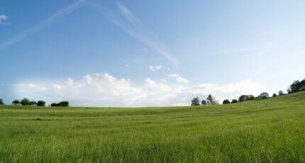 Pomérols Maison neuve - 2364106-11177annonce1202512105r7Tq.jpeg Oc Résidences