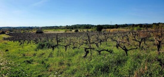 Terrain à bâtir à , Hérault