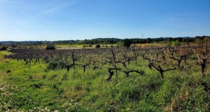 Loupian Maison neuve - 2442216-11177annonce220260226p6clr.jpeg Oc Résidences